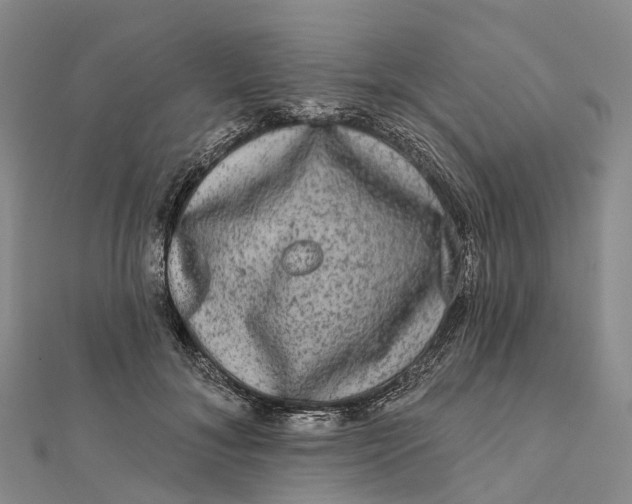 X0000112100700200908251150