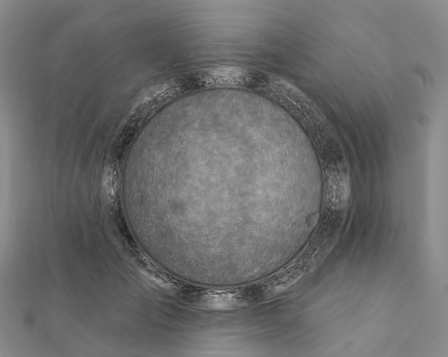 X0000112100701200908251150