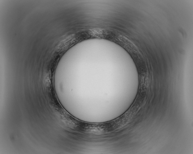 X0000112100702200908251150