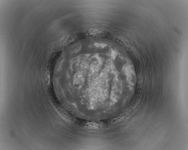 X0000112100703200908251150