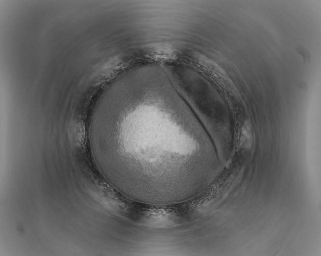 X0000112100704200908251150