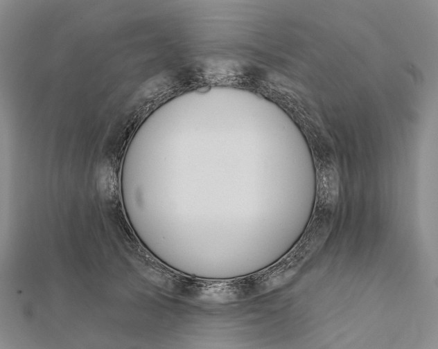 X0000112100705200908251150