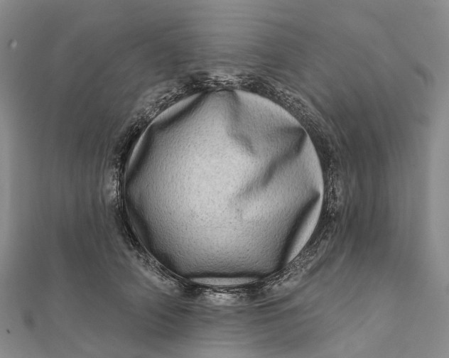 X0000112100706200908251150