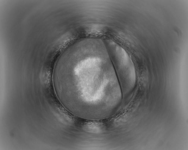 X0000112100708200908251150