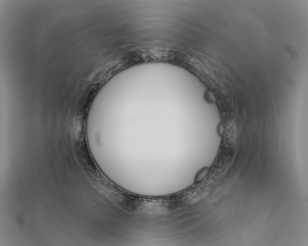 X0000112100709200908251150