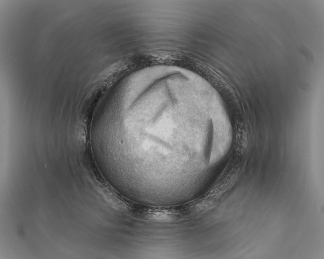 X0000112100710200908251150