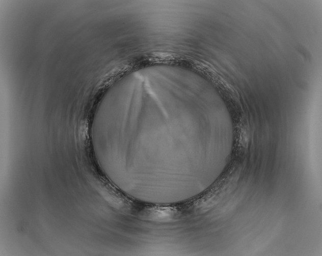 X0000112100711200908251150