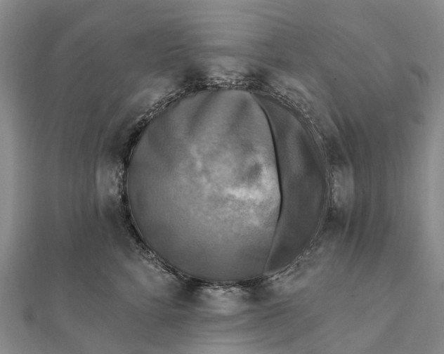 X0000112100712200908251149