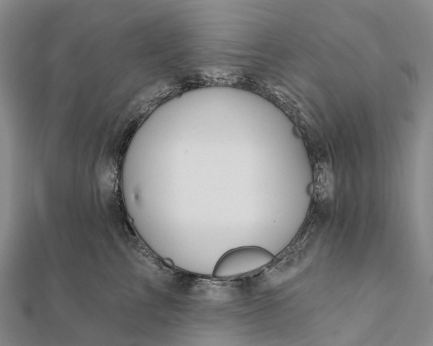 X0000112100713200908251149