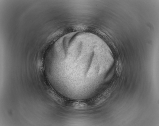 X0000112100714200908251149