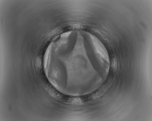 X0000112100715200908251149