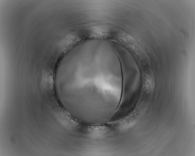 X0000112100716200908251149