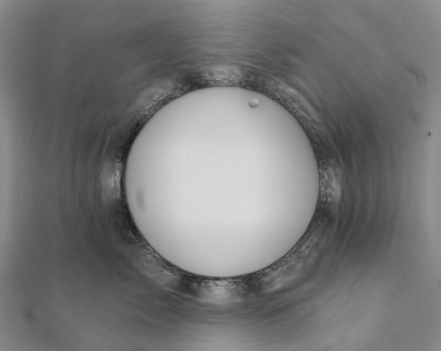 X0000112100717200908251149