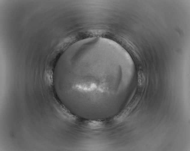 X0000112100718200908251149