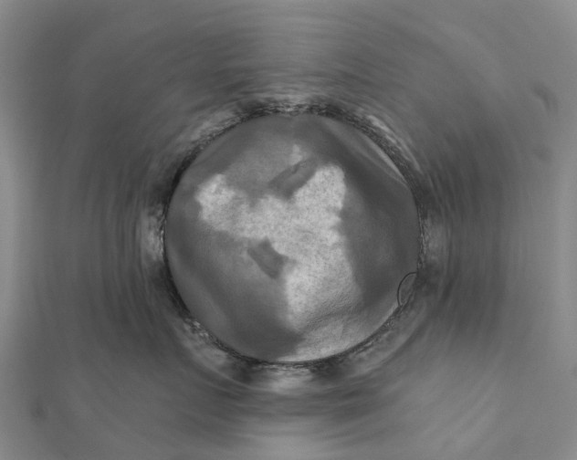 X0000112100719200908251149