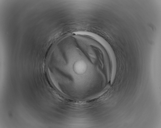 X0000112100720200908251149