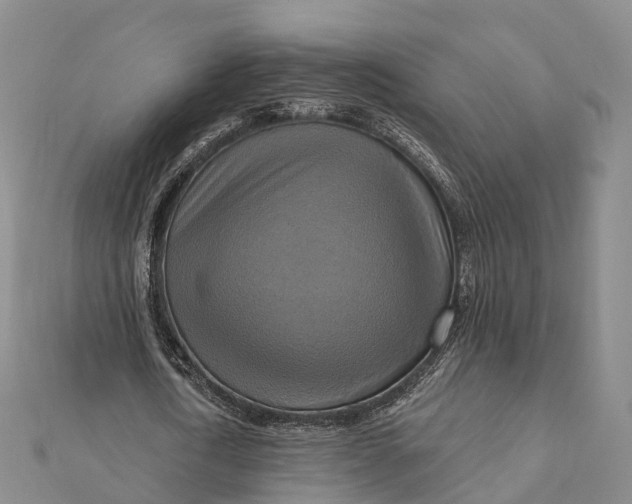 X0000112100722200908251149