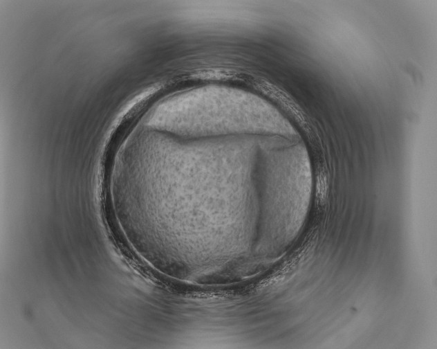 X0000112100724200908251149