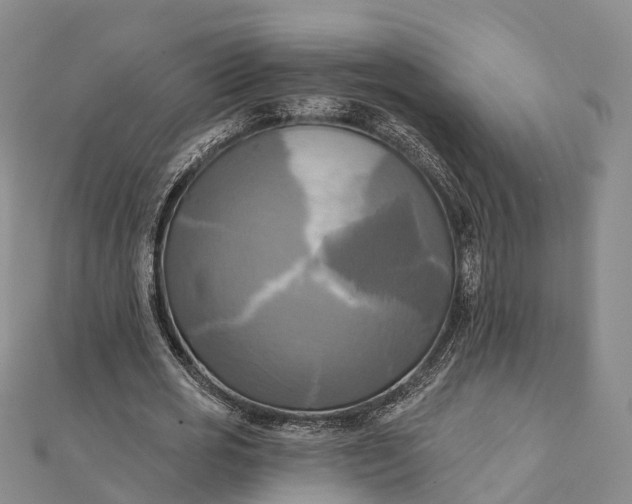 X0000112100725200908251149