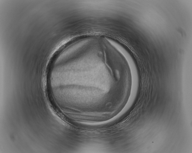 X0000112100726200908251149