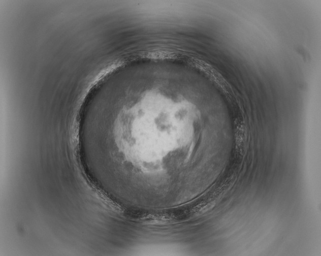 X0000112100727200908251149