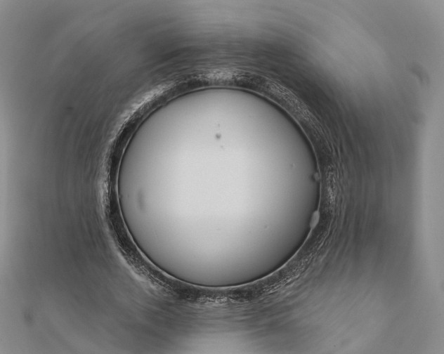 X0000112100728200908251149