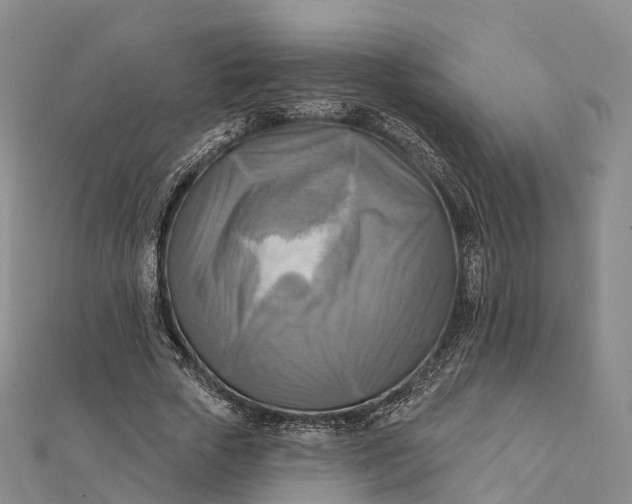 X0000112100729200908251149