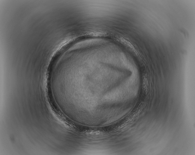 X0000112100730200908251149