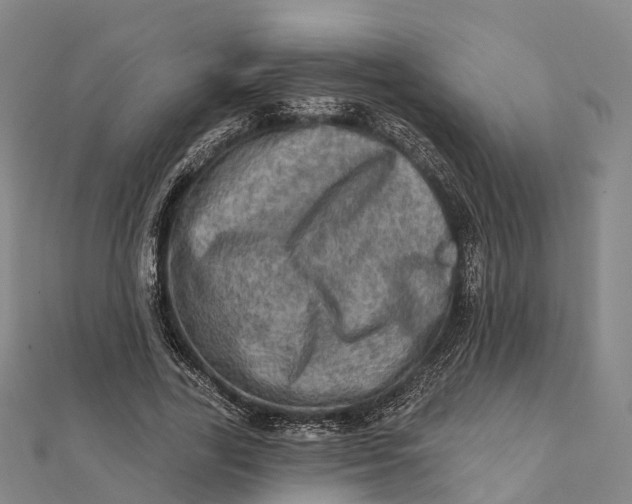 X0000112100731200908251149