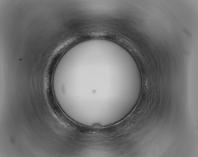 X0000112100732200908251149