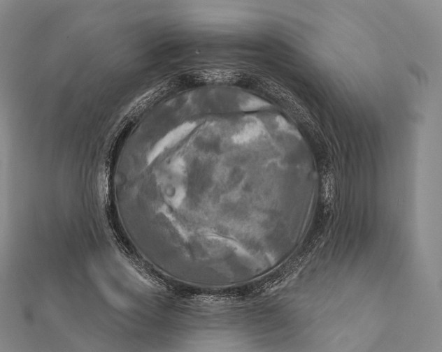 X0000112100733200908251149