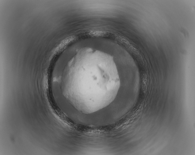 X0000112100734200908251149