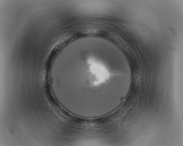 X0000112100735200908251149