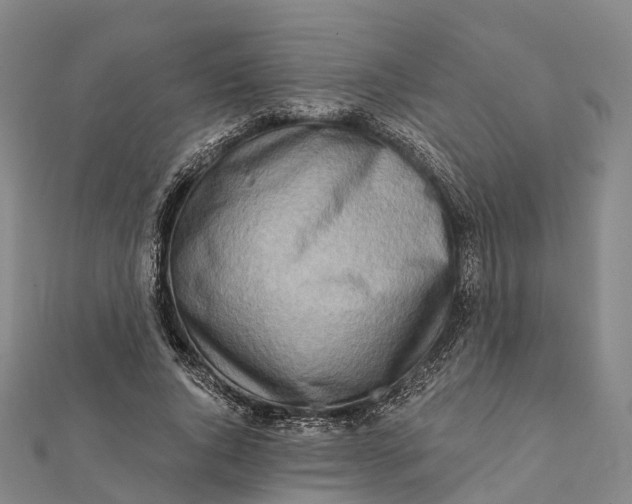 X0000112100736200908251149