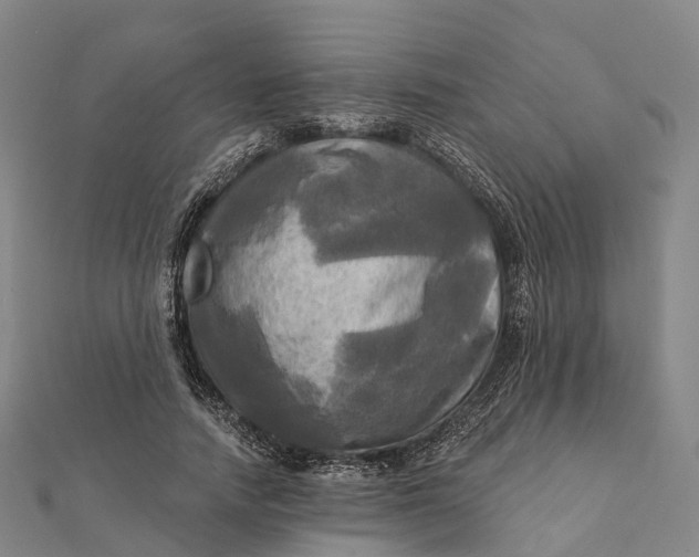 X0000112100738200908251149