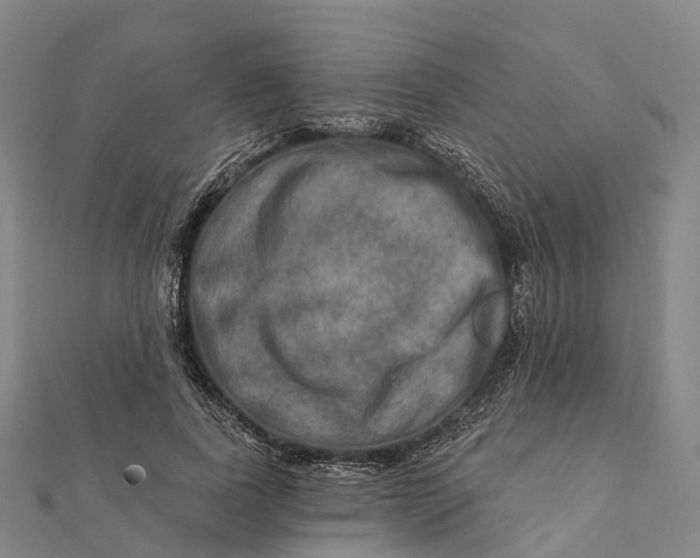 X0000112100739200908251149