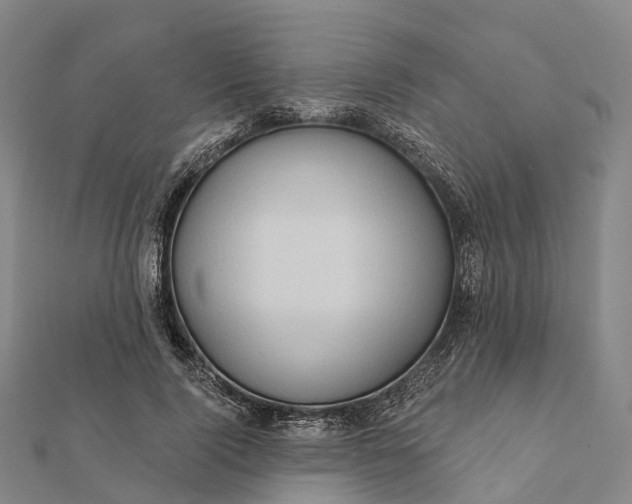 X0000112100740200908251149