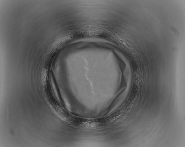 X0000112100742200908251149