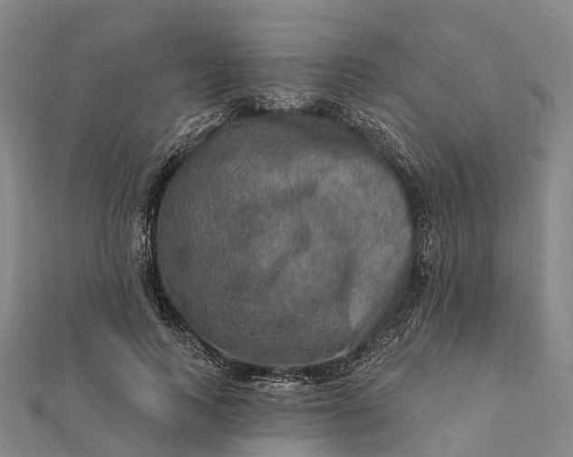 X0000112100743200908251149