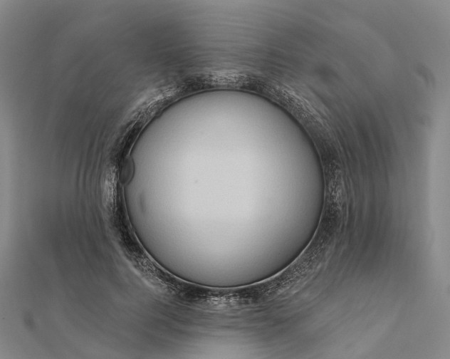 X0000112100744200908251149