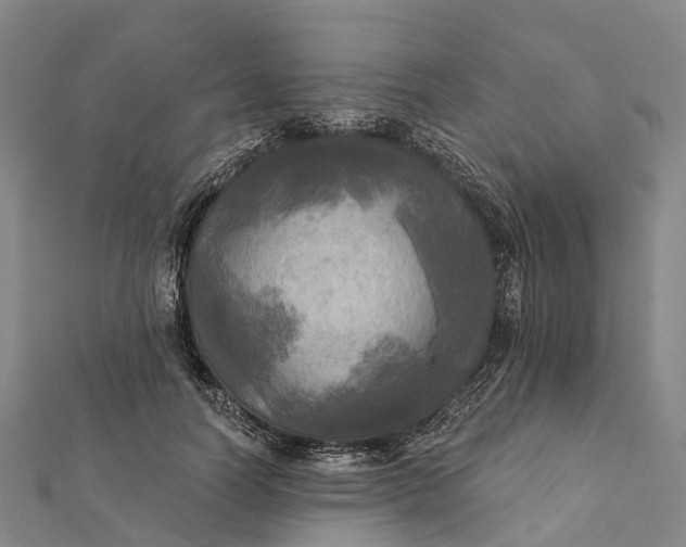 X0000112100746200908251149