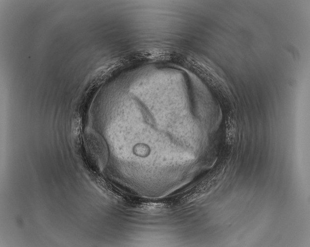 X0000112100748200908251149