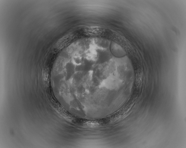 X0000112100749200908251149