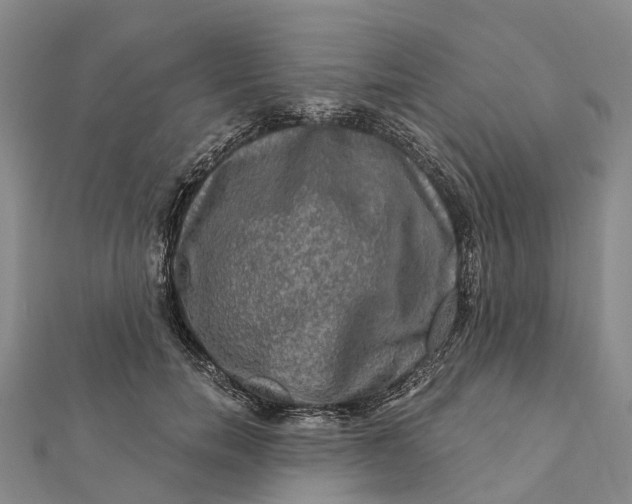 X0000112100750200908251149