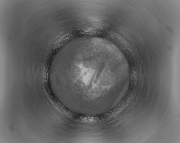 X0000112100751200908251149