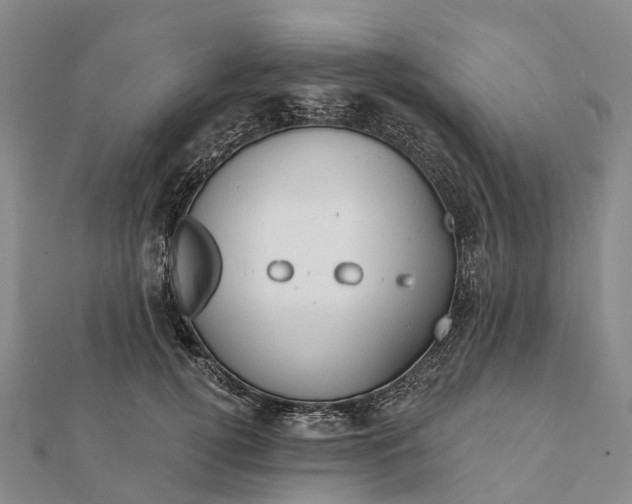 X0000112100752200908251149