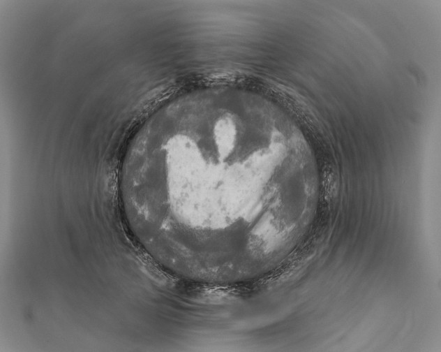 X0000112100753200908251149