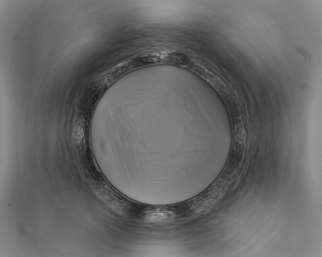 X0000112100754200908251149