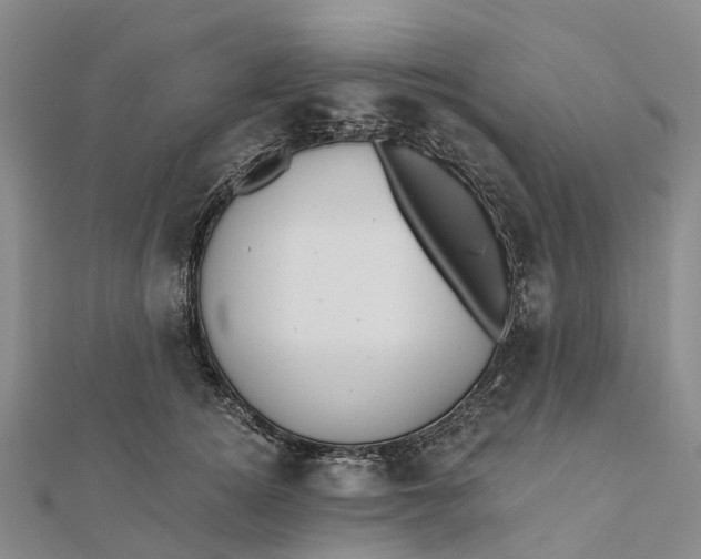 X0000112100756200908251149