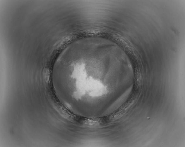 X0000112100758200908251149